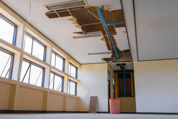 Best Mold removal after water damage  in Plains, KS
