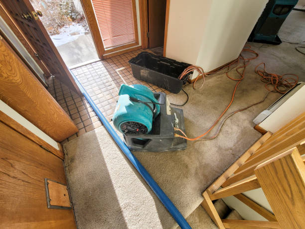 Best Flood damage cleanup  in Plains, KS