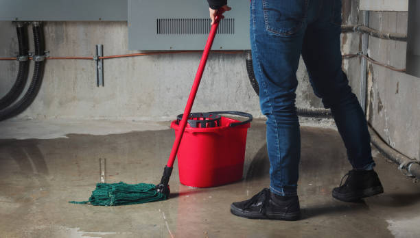  Plains, KS Water damage restoration Pros