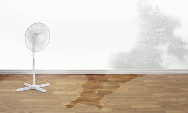 Best Ceiling water damage repair  in Plains, KS