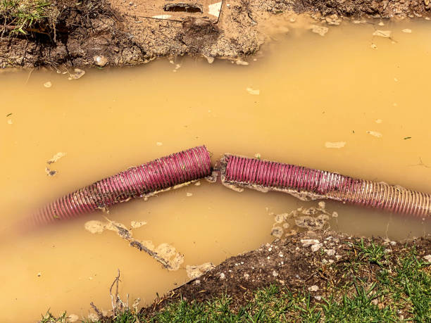 Best Commercial water damage restoration  in Plains, KS