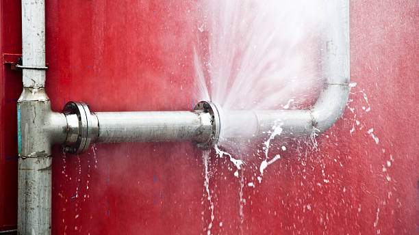 Best Water damage cleanup near me  in Plains, KS