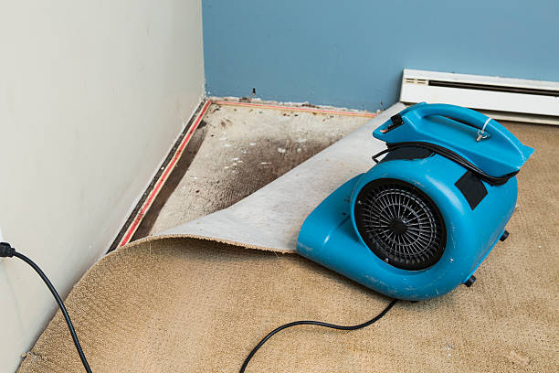 Best Flood restoration services  in Plains, KS