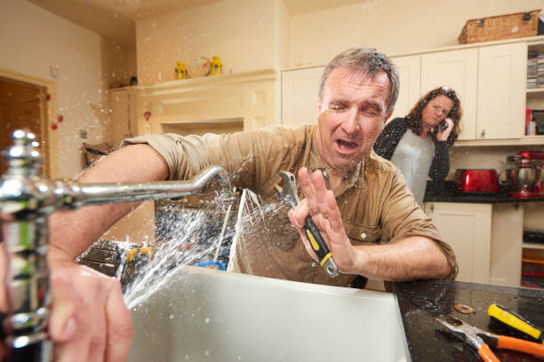 Best Water damage mitigation services  in Plains, KS
